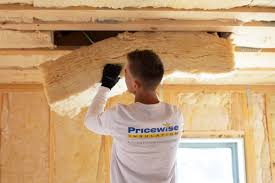 Eco-Friendly or Green Insulation Solutions in Diamond Ridge, AK